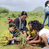 Tree Planting