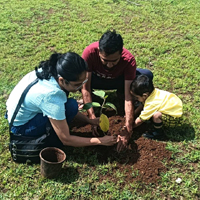 Tree Planting
